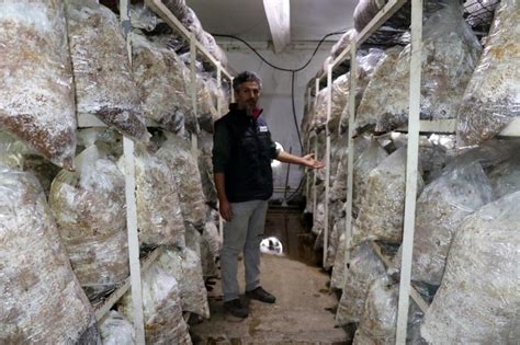 K­u­r­d­u­ğ­u­ ­t­e­s­i­s­t­e­ ­2­ ­t­o­n­ ­m­a­n­t­a­r­ ­ü­r­e­t­m­e­y­i­ ­h­e­d­e­f­l­i­y­o­r­ ­-­ ­S­o­n­ ­D­a­k­i­k­a­ ­H­a­b­e­r­l­e­r­